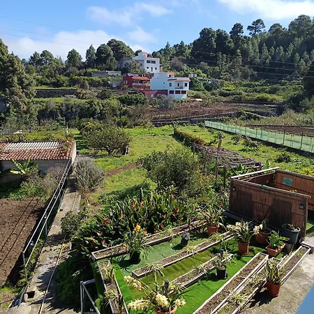 公寓 Loft Vista Al Teide 伊科德·德·洛斯·维诺斯