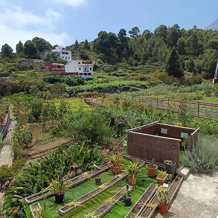 Loft Vista Al Teide Appartamento *