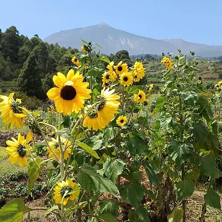 Loft Vista Al Teide Icod de los Vinos